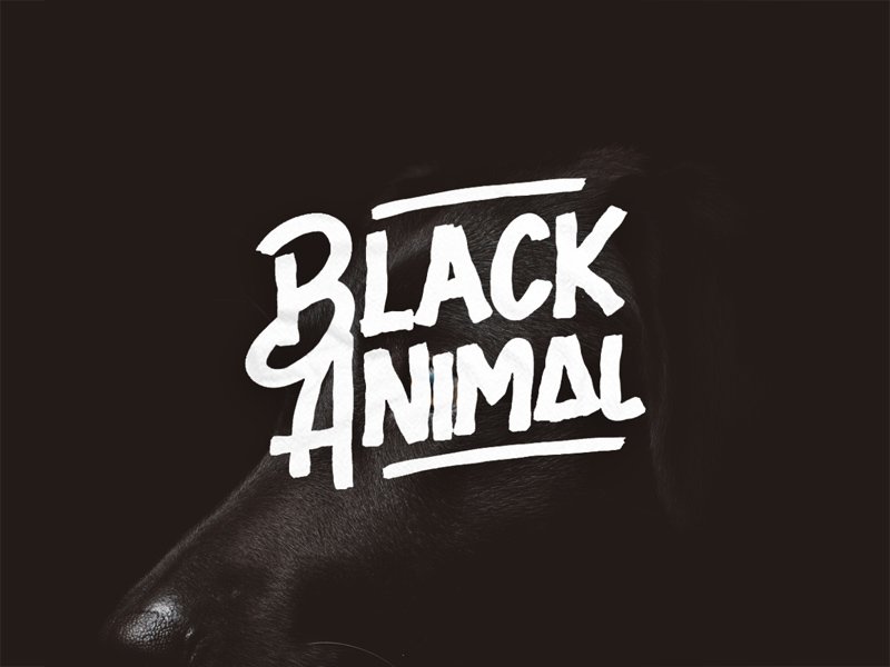fuente black animal gratis
