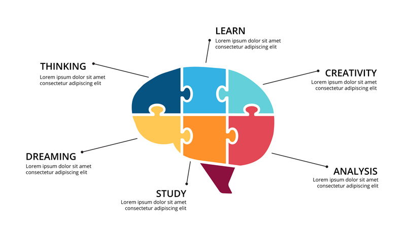 brain infographic powerpoint