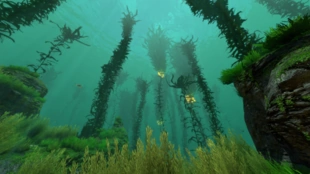 Kelp Forest Biome